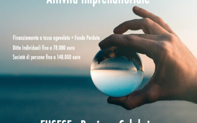 FUSESE – Fund for Self Employment and Self Entrepreneurship